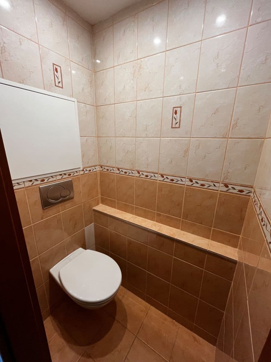 Studio flat to rent, 36 m², Štúrova, Prague, Prague Studio flat to rent, 36 m², Štúrova, Prague, Prague