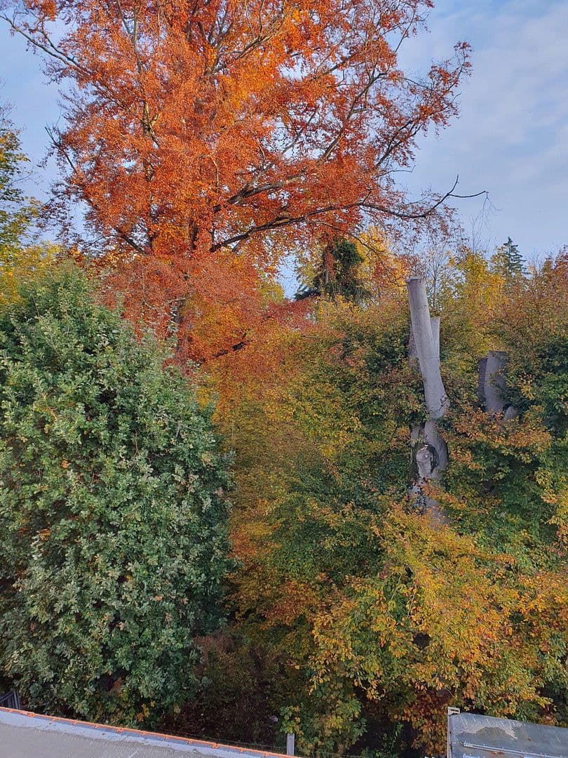 3 bedroom flat to rent, 95 m², Berg-am-Laim-Str. 60a, München, Bavaria 3 bedroom flat to rent, 95 m², Berg-am-Laim-Str. 60a, München, Bavaria