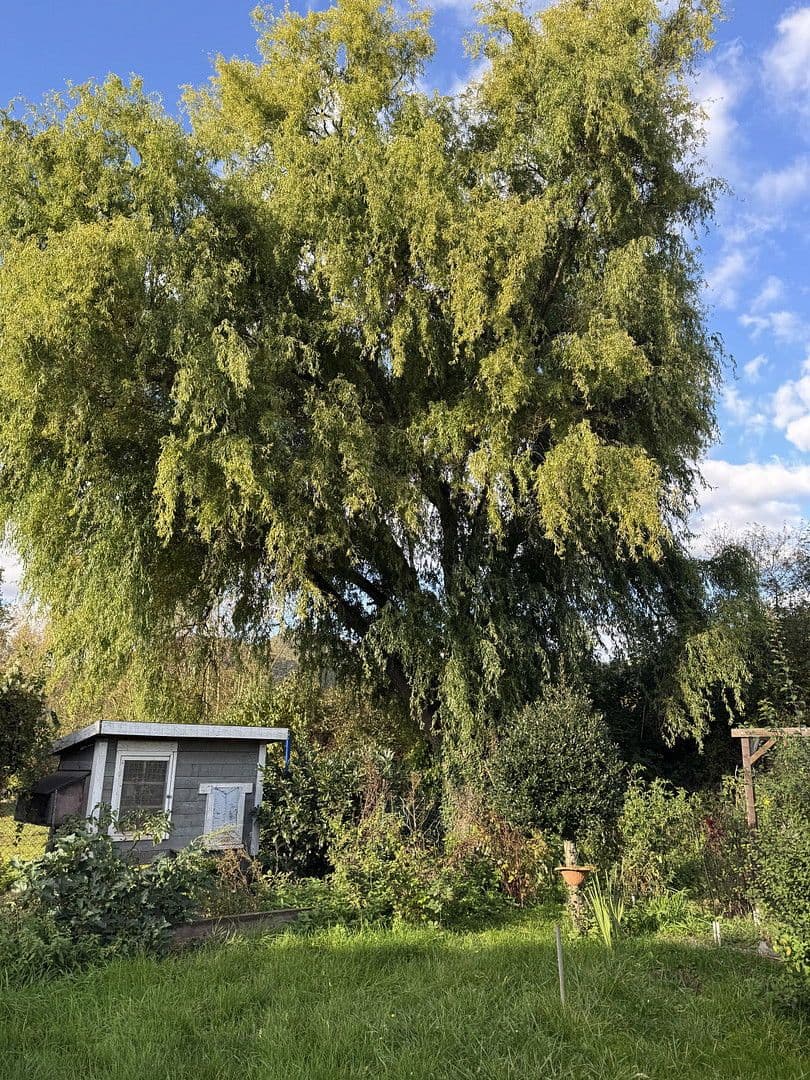 house to rent, 195 m², Weinstrasse 181, Albersweiler, Rhineland-Palatinate house to rent, 195 m², Weinstrasse 181, Albersweiler, Rhineland-Palatinate