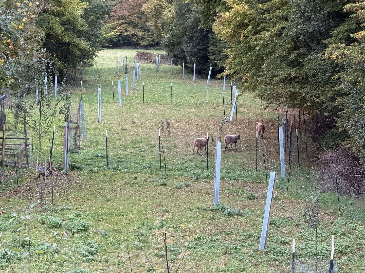 house for sale, 150 m², Schechingen, Baden-Württemberg house for sale, 150 m², Schechingen, Baden-Württemberg