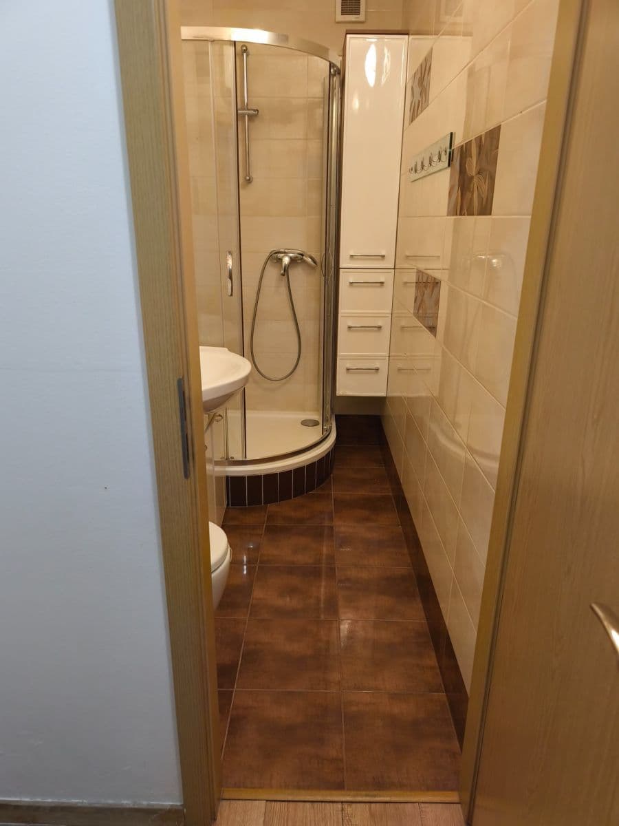 1 bedroom with open-plan kitchen flat to rent, 59 m², Braunerova, Prague, Prague 1 bedroom with open-plan kitchen flat to rent, 59 m², Braunerova, Prague, Prague