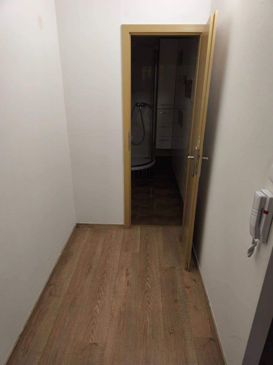 1 bedroom with open-plan kitchen flat to rent, 59 m², Braunerova, Prague, Prague 1 bedroom with open-plan kitchen flat to rent, 59 m², Braunerova, Prague, Prague