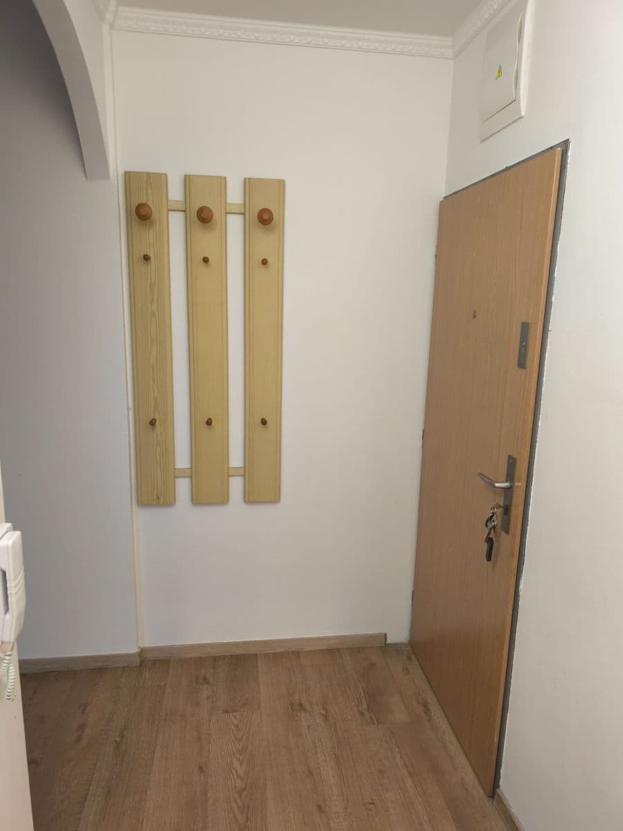 1 bedroom with open-plan kitchen flat to rent, 59 m², Braunerova, Prague, Prague 1 bedroom with open-plan kitchen flat to rent, 59 m², Braunerova, Prague, Prague