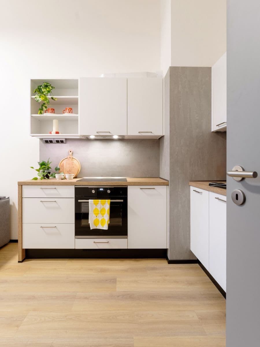 1 bedroom with open-plan kitchen flat to rent, 48 m², Poděbradská, Prague, Prague 1 bedroom with open-plan kitchen flat to rent, 48 m², Poděbradská, Prague, Prague