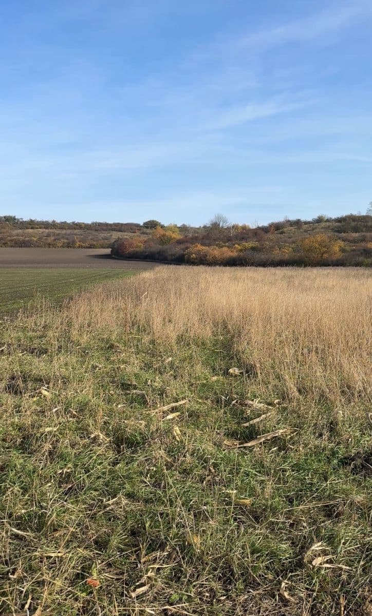 plot for sale, 2,534 m², Nedomice, Středočeský Region plot for sale, 2,534 m², Nedomice, Středočeský Region