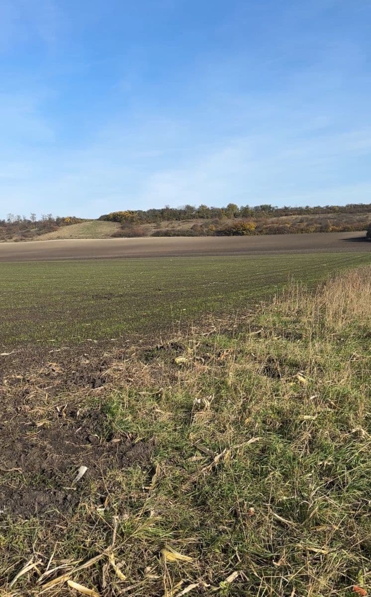 plot for sale, 2,534 m², Nedomice, Středočeský Region plot for sale, 2,534 m², Nedomice, Středočeský Region