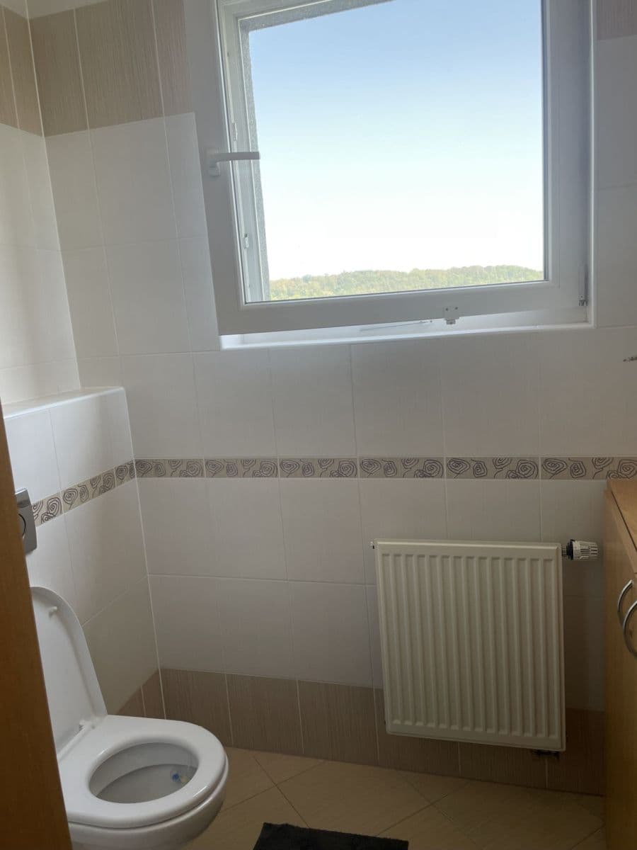 Studio flat to rent, 33 m², Nademlejnská, Prague, Prague Studio flat to rent, 33 m², Nademlejnská, Prague, Prague