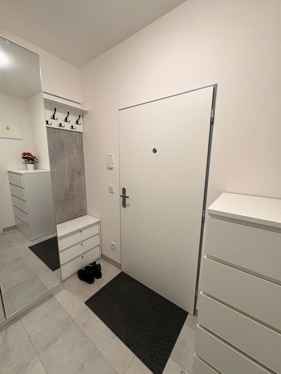 1 bedroom with open-plan kitchen flat to rent, 47 m², Fabiánové, Prague, Prague 1 bedroom with open-plan kitchen flat to rent, 47 m², Fabiánové, Prague, Prague