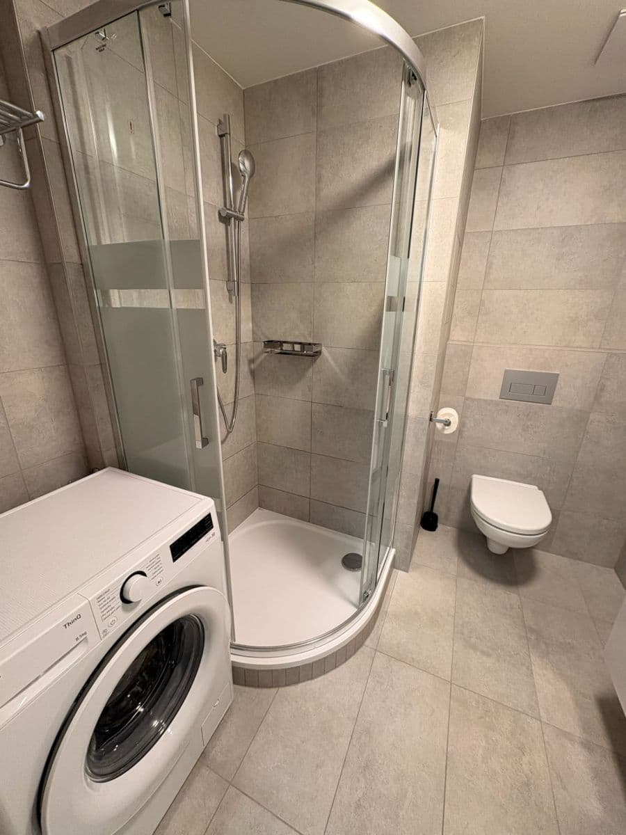 1 bedroom with open-plan kitchen flat to rent, 47 m², Fabiánové, Prague, Prague 1 bedroom with open-plan kitchen flat to rent, 47 m², Fabiánové, Prague, Prague