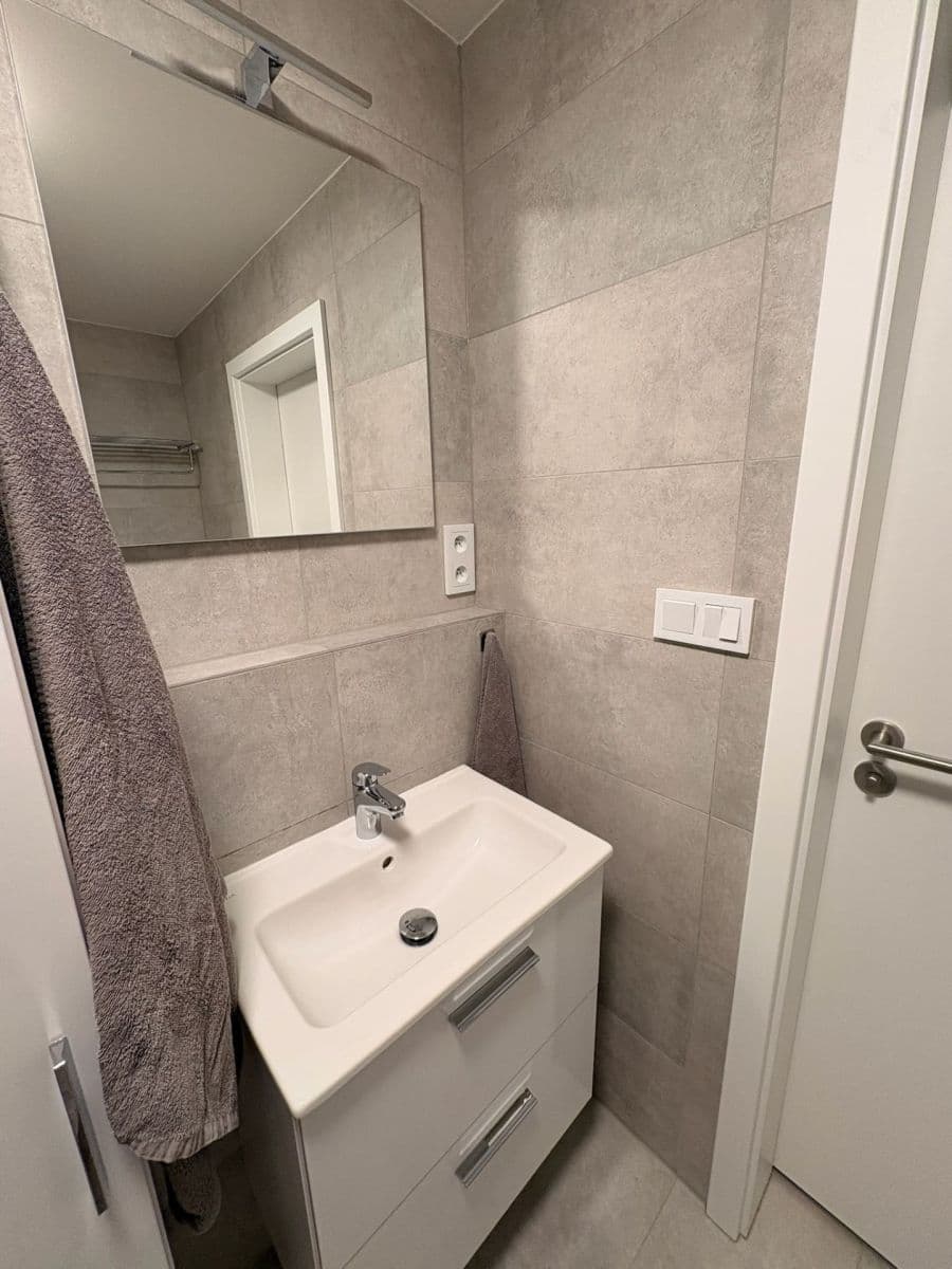 1 bedroom with open-plan kitchen flat to rent, 47 m², Fabiánové, Prague, Prague 1 bedroom with open-plan kitchen flat to rent, 47 m², Fabiánové, Prague, Prague