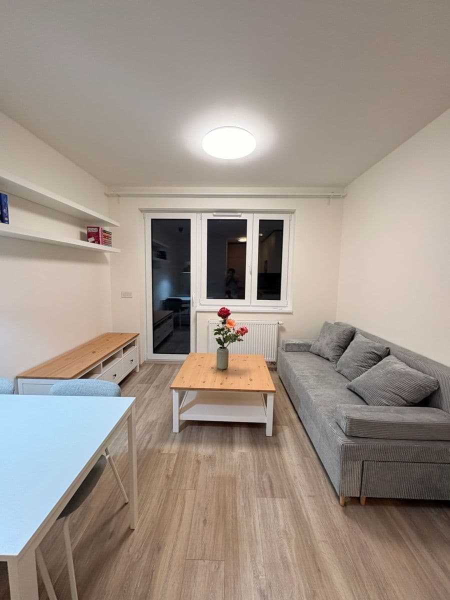 1 bedroom with open-plan kitchen flat to rent, 47 m², Fabiánové, Prague, Prague 1 bedroom with open-plan kitchen flat to rent, 47 m², Fabiánové, Prague, Prague