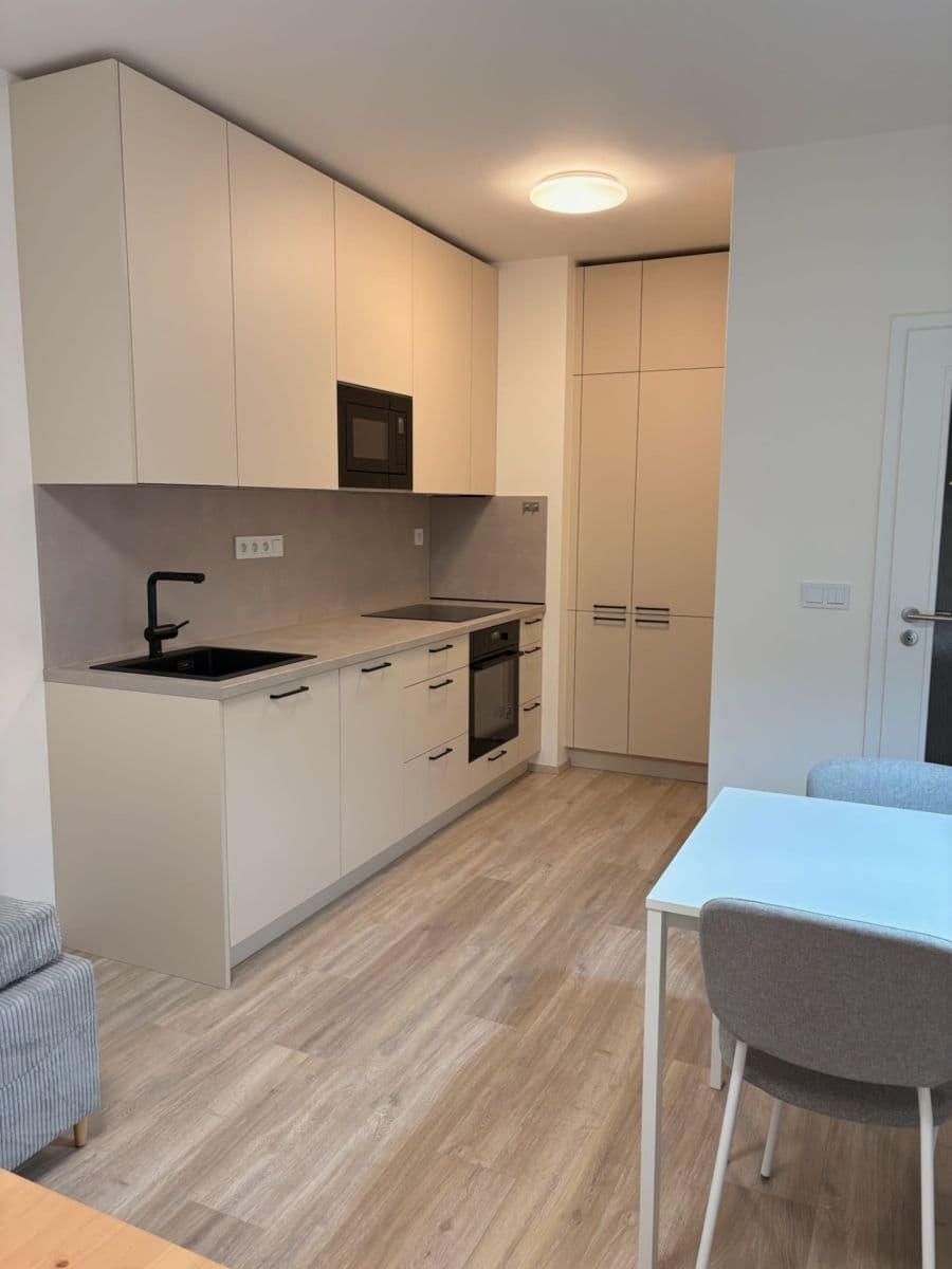 1 bedroom with open-plan kitchen flat to rent, 47 m², Fabiánové, Prague, Prague 1 bedroom with open-plan kitchen flat to rent, 47 m², Fabiánové, Prague, Prague