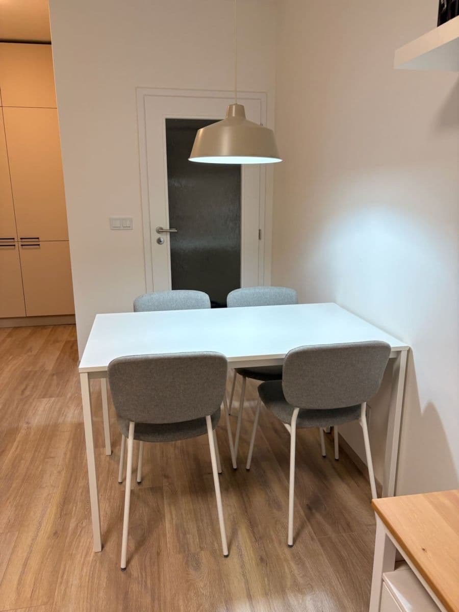 1 bedroom with open-plan kitchen flat to rent, 47 m², Fabiánové, Prague, Prague 1 bedroom with open-plan kitchen flat to rent, 47 m², Fabiánové, Prague, Prague