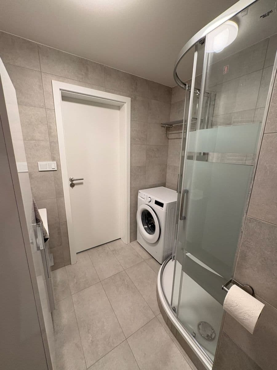 1 bedroom with open-plan kitchen flat to rent, 47 m², Fabiánové, Prague, Prague 1 bedroom with open-plan kitchen flat to rent, 47 m², Fabiánové, Prague, Prague