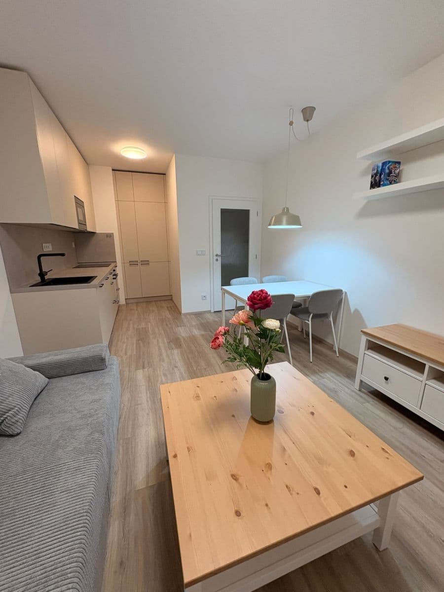 1 bedroom with open-plan kitchen flat to rent, 47 m², Fabiánové, Prague, Prague 1 bedroom with open-plan kitchen flat to rent, 47 m², Fabiánové, Prague, Prague