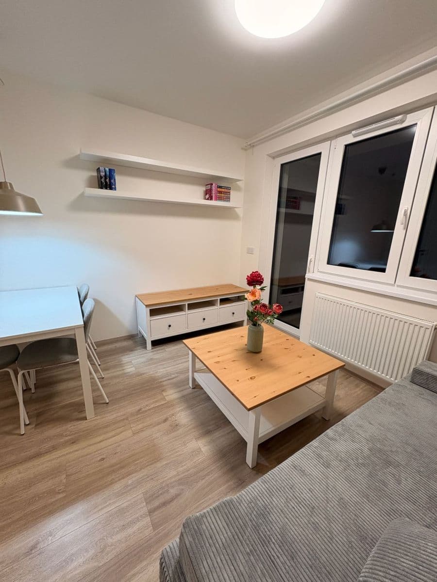 1 bedroom with open-plan kitchen flat to rent, 47 m², Fabiánové, Prague, Prague 1 bedroom with open-plan kitchen flat to rent, 47 m², Fabiánové, Prague, Prague