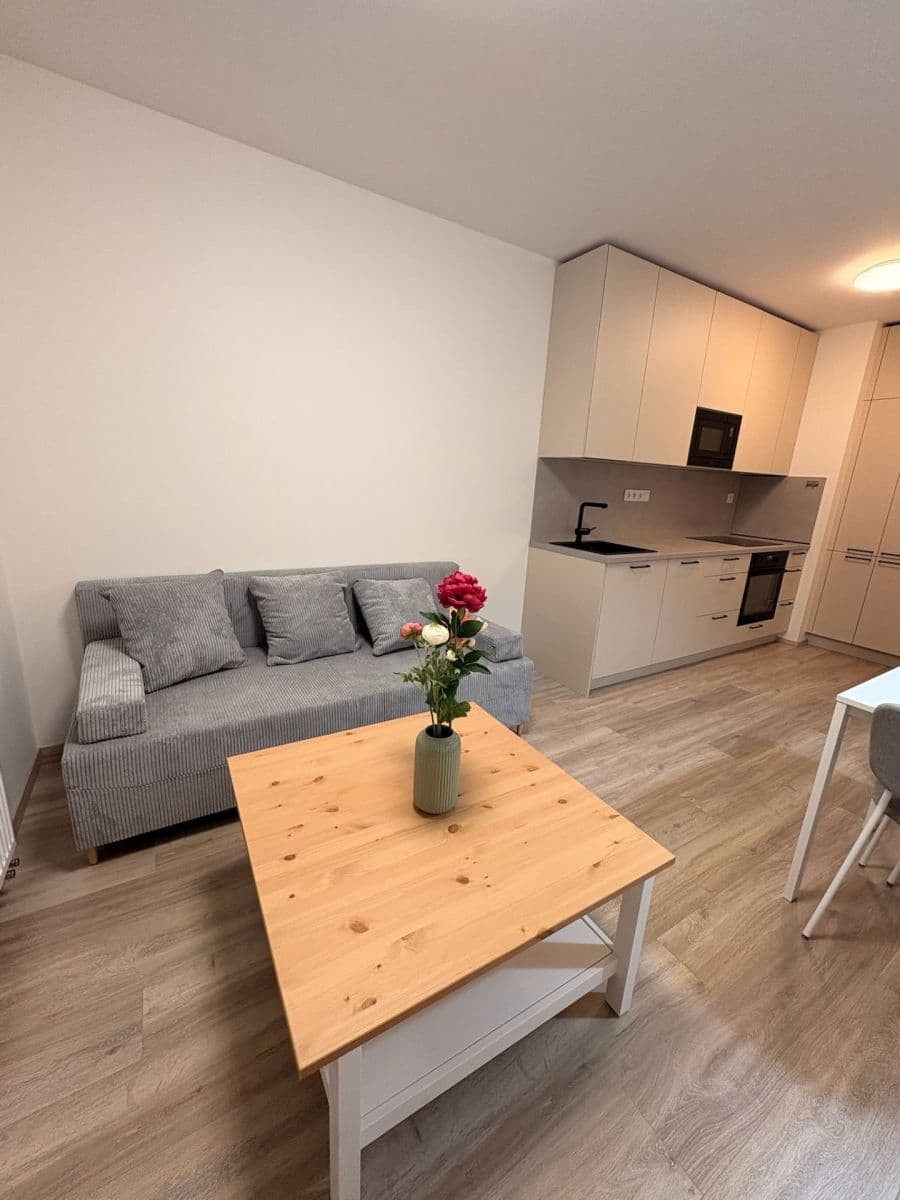 1 bedroom with open-plan kitchen flat to rent, 47 m², Fabiánové, Prague, Prague 1 bedroom with open-plan kitchen flat to rent, 47 m², Fabiánové, Prague, Prague