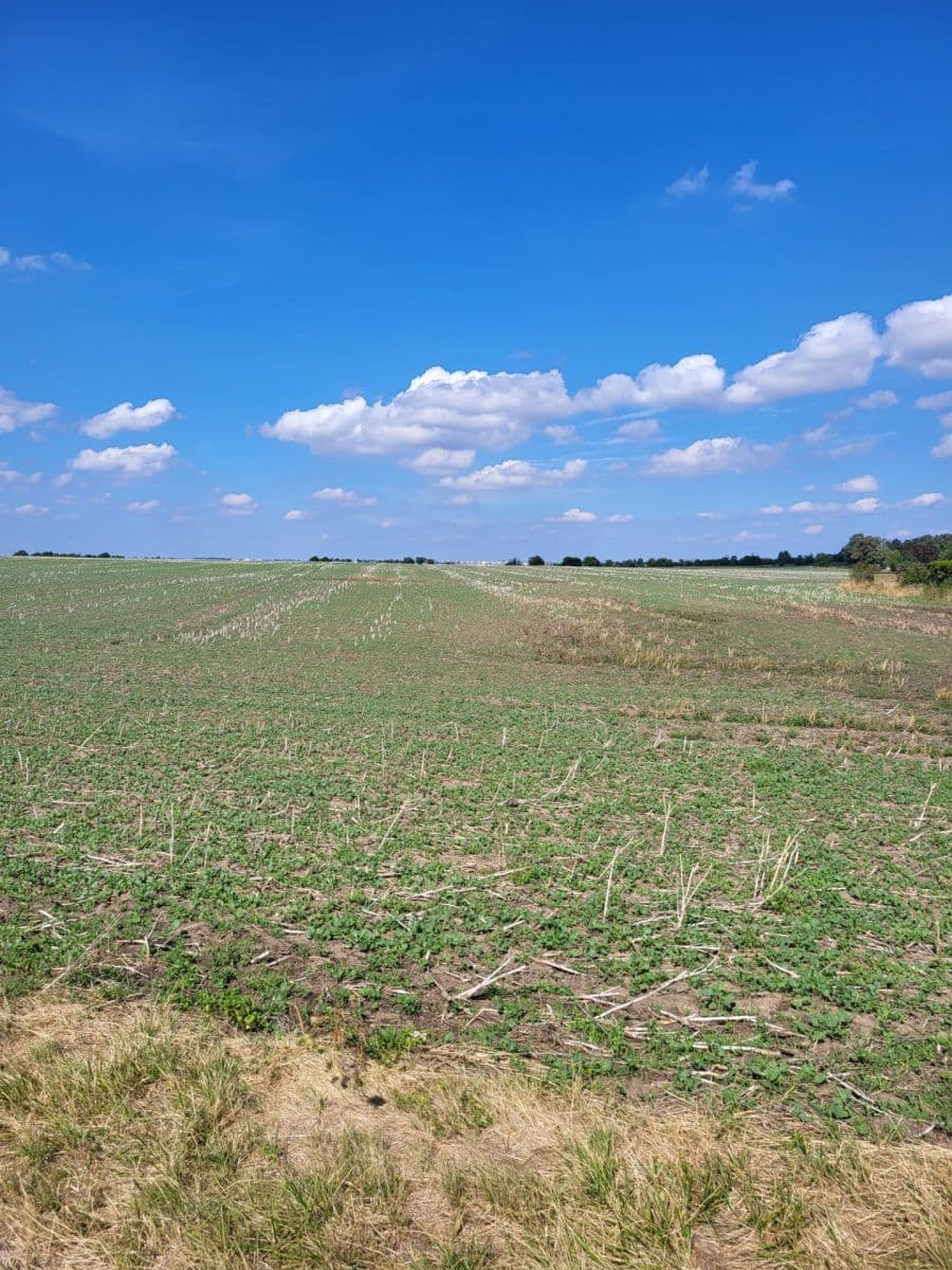 plot for sale, 1,500 m², K Dubečku, Prague, Prague plot for sale, 1,500 m², K Dubečku, Prague, Prague