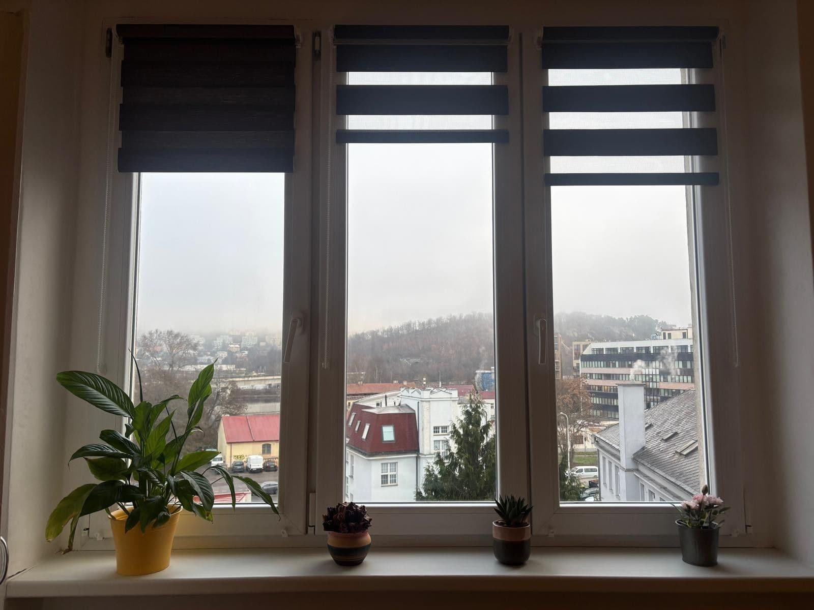 Studio flat to rent, 32 m², Ortenovo náměstí, Prague, Prague Studio flat to rent, 32 m², Ortenovo náměstí, Prague, Prague