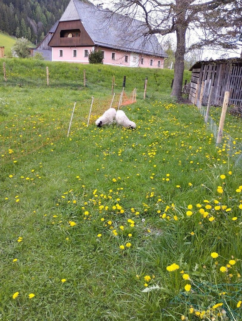 house for sale, 55 m², Schwarzviertel 20, Möderbrugg, Styria house for sale, 55 m², Schwarzviertel 20, Möderbrugg, Styria