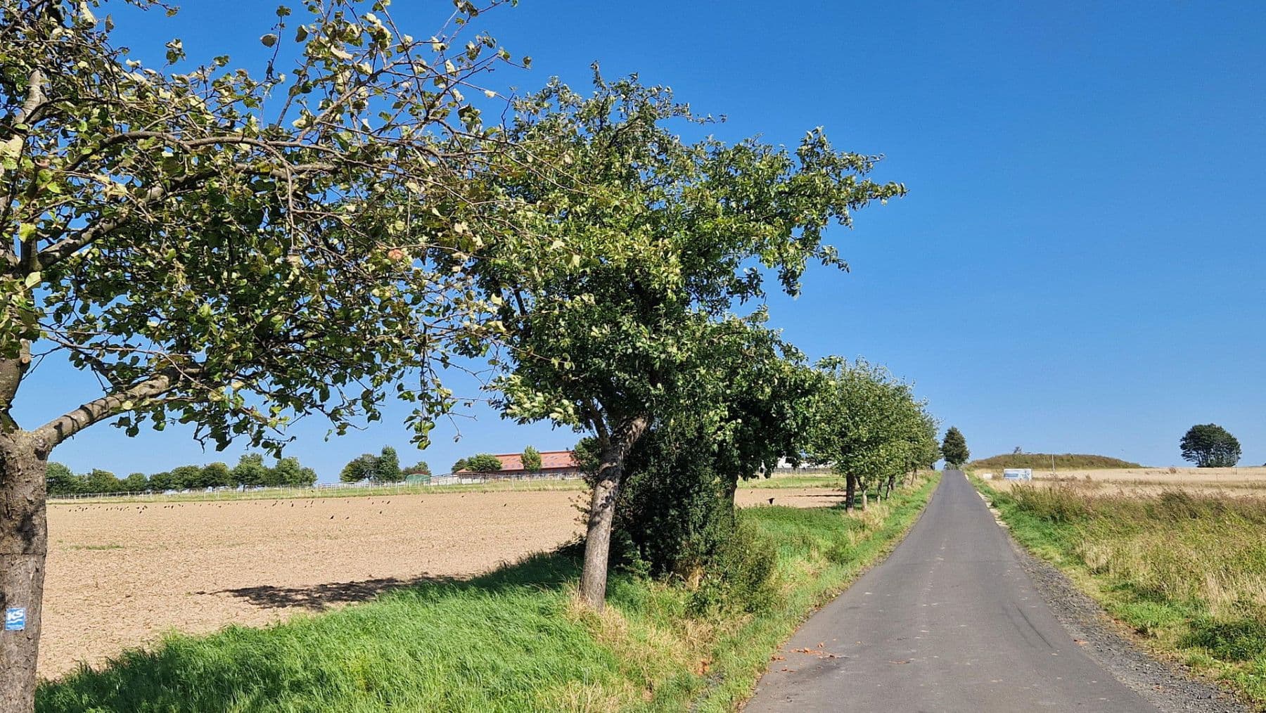 plot for sale, 637 m², Wiener Straße 21, Vellmar, Hesse plot for sale, 637 m², Wiener Straße 21, Vellmar, Hesse