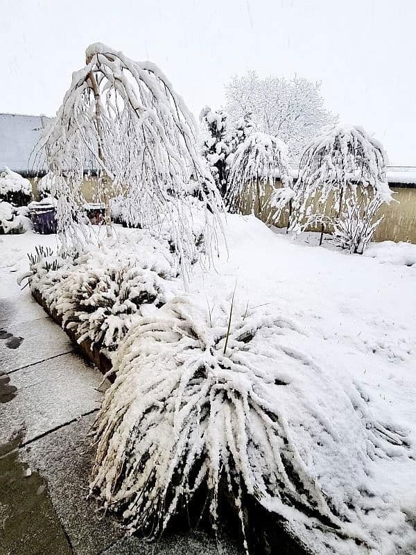 3 bedroom flat for sale, 130 m², Österreich, Salzburg, Salzburg 3 bedroom flat for sale, 130 m², Österreich, Salzburg, Salzburg