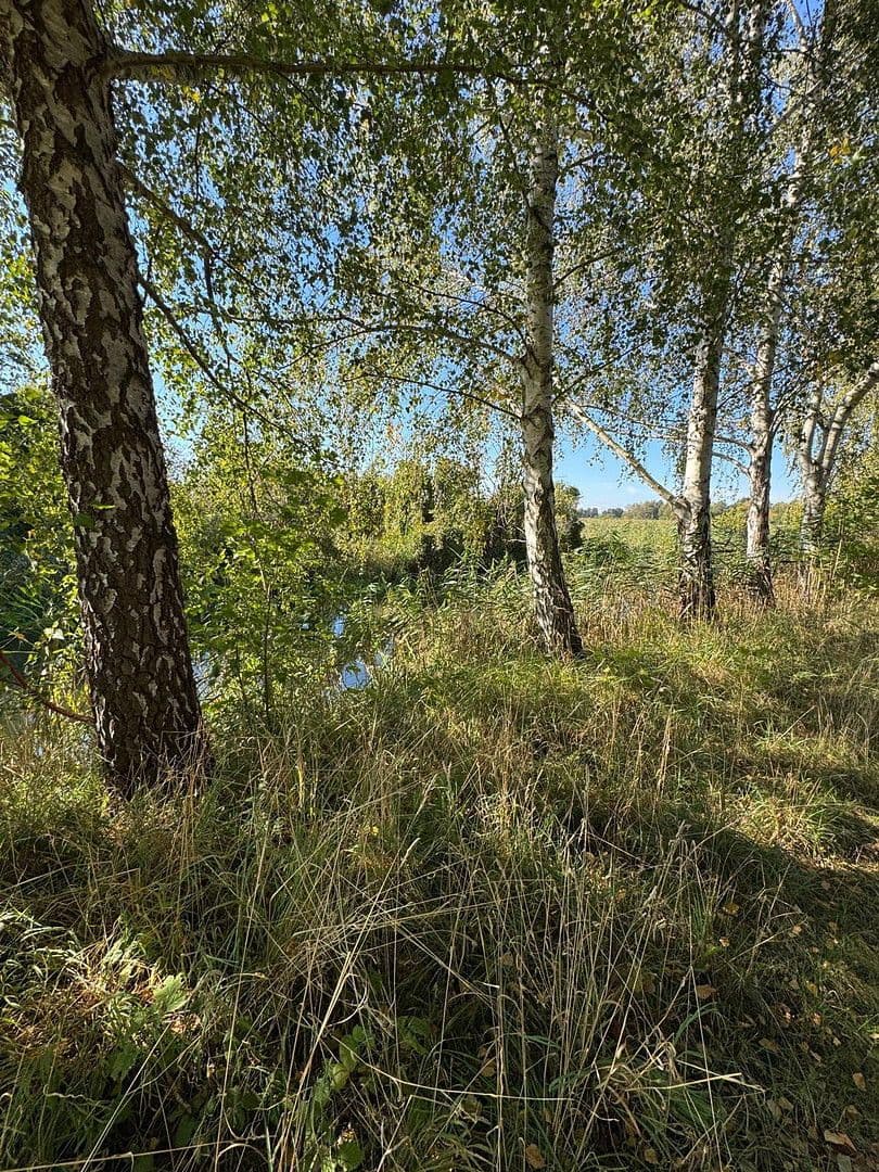 house for sale, 800 m², Neuhardenberg, Brandenburg house for sale, 800 m², Neuhardenberg, Brandenburg