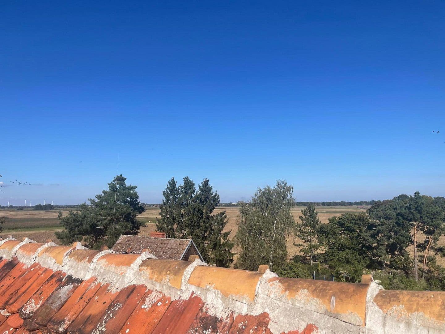 house for sale, 800 m², Neuhardenberg, Brandenburg house for sale, 800 m², Neuhardenberg, Brandenburg