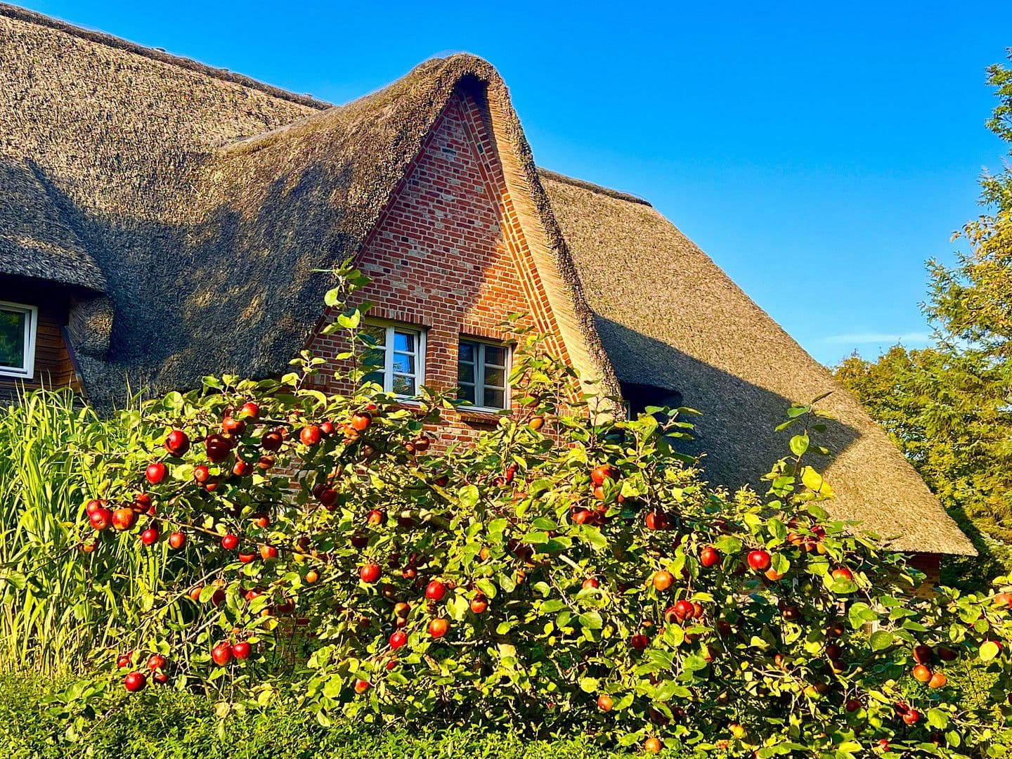 house for sale, 105 m², Bövergeest 28, Sankt Peter-Ording, Schleswig-Holstein house for sale, 105 m², Bövergeest 28, Sankt Peter-Ording, Schleswig-Holstein