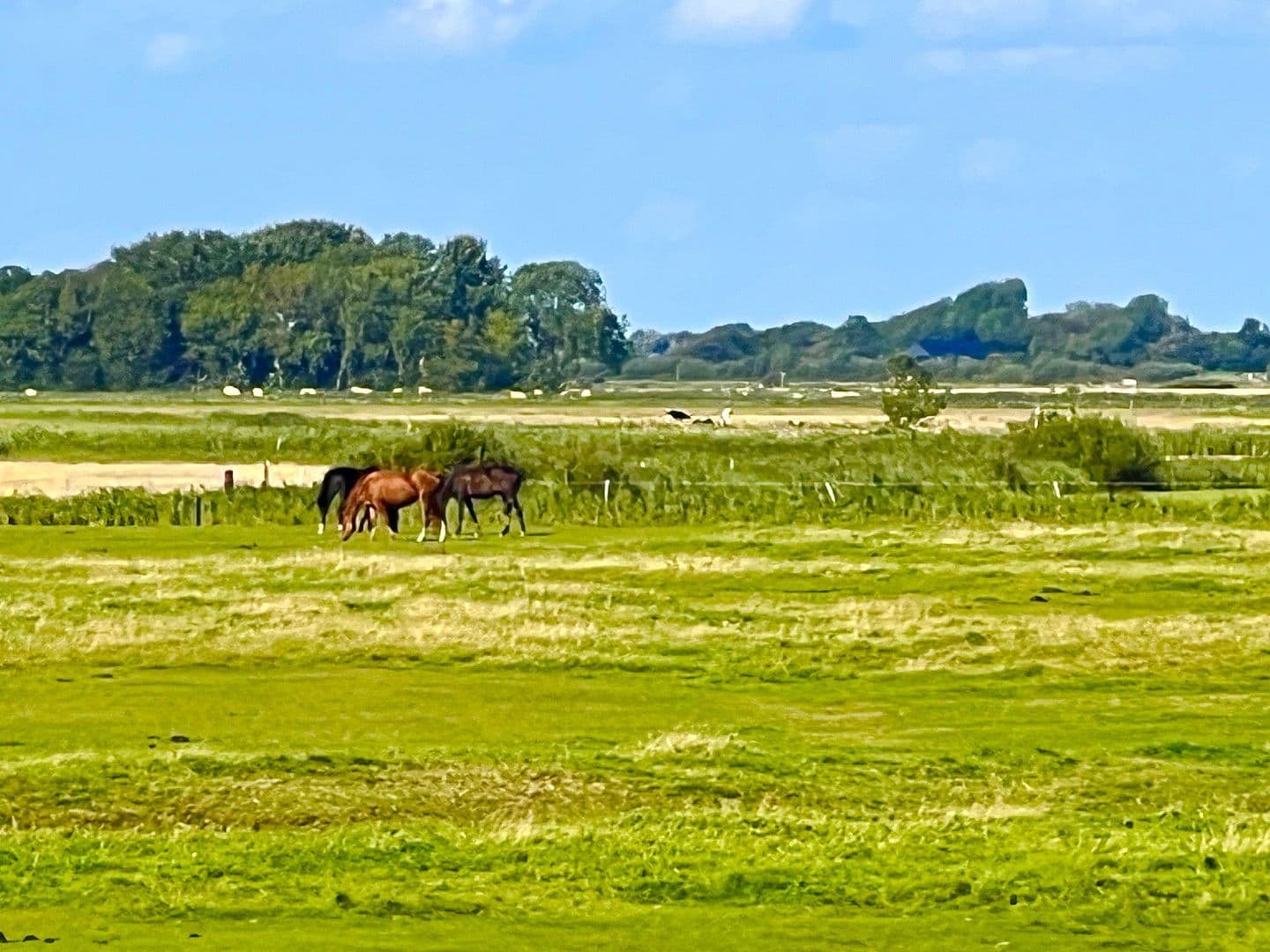 house for sale, 105 m², Bövergeest 28, Sankt Peter-Ording, Schleswig-Holstein house for sale, 105 m², Bövergeest 28, Sankt Peter-Ording, Schleswig-Holstein