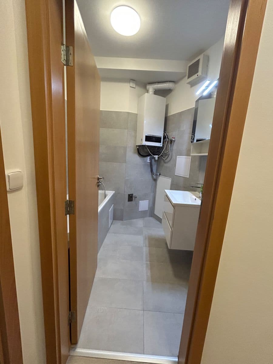 1 bedroom with open-plan kitchen flat to rent, 120 m², Högerova, Prague, Prague 1 bedroom with open-plan kitchen flat to rent, 120 m², Högerova, Prague, Prague