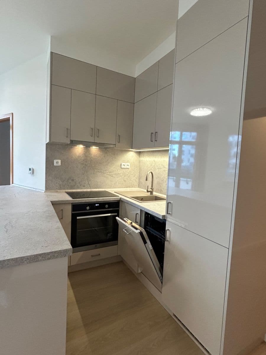 1 bedroom with open-plan kitchen flat to rent, 120 m², Högerova, Prague, Prague 1 bedroom with open-plan kitchen flat to rent, 120 m², Högerova, Prague, Prague