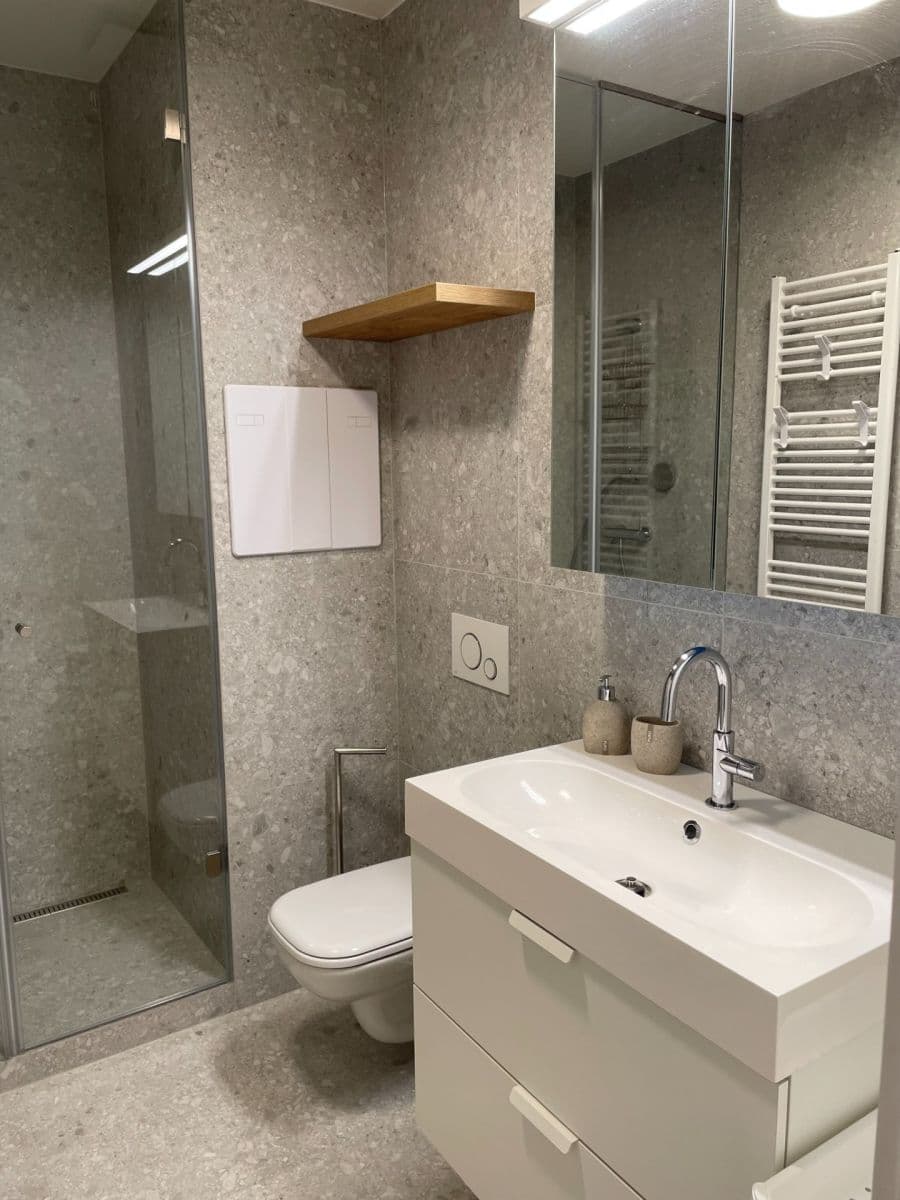 1 bedroom with open-plan kitchen flat to rent, 41 m², Bořivojova, Prague, Prague 1 bedroom with open-plan kitchen flat to rent, 41 m², Bořivojova, Prague, Prague