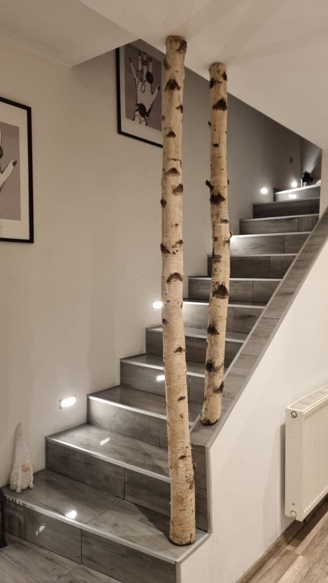 house for sale, 110 m², Letohrad, Pardubický Region house for sale, 110 m², Letohrad, Pardubický Region