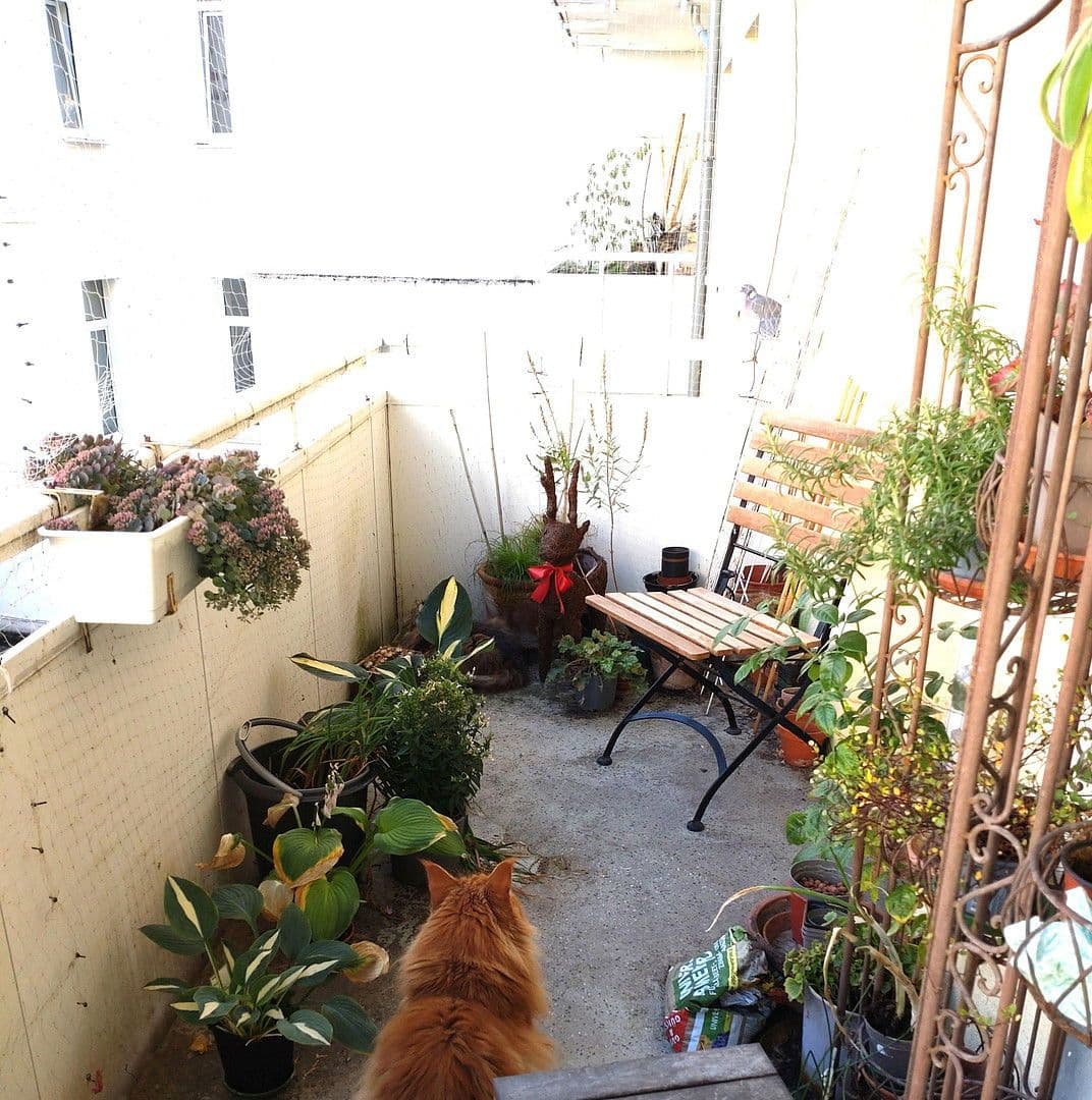 2 bedroom flat to rent, 66 m², Gretchenstr. 39b, Hanover, Lower Saxony 2 bedroom flat to rent, 66 m², Gretchenstr. 39b, Hanover, Lower Saxony