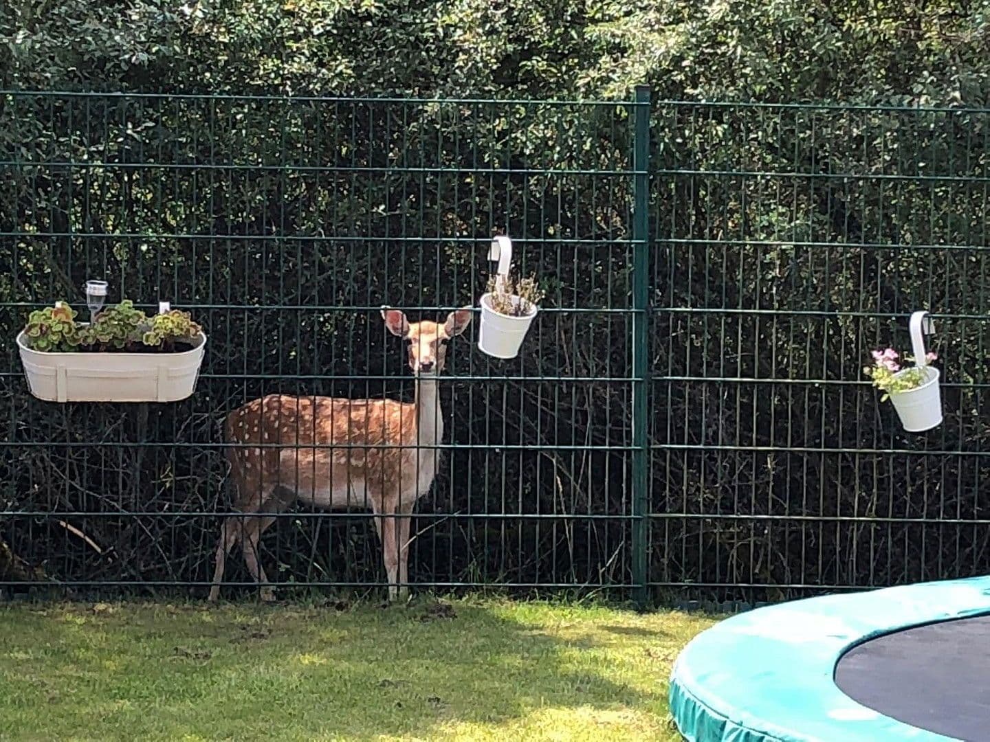 house for sale, 116 m², Wolfsburg, Lower Saxony house for sale, 116 m², Wolfsburg, Lower Saxony