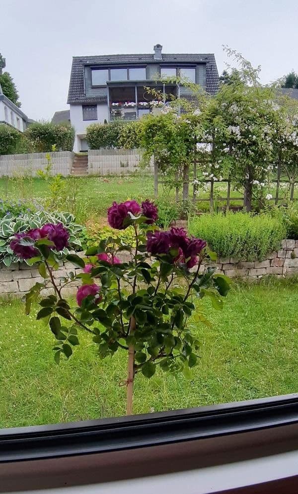 house for sale, 90 m², Jagdhausweg 12, Wuppertal, North Rhine-Westphalia house for sale, 90 m², Jagdhausweg 12, Wuppertal, North Rhine-Westphalia