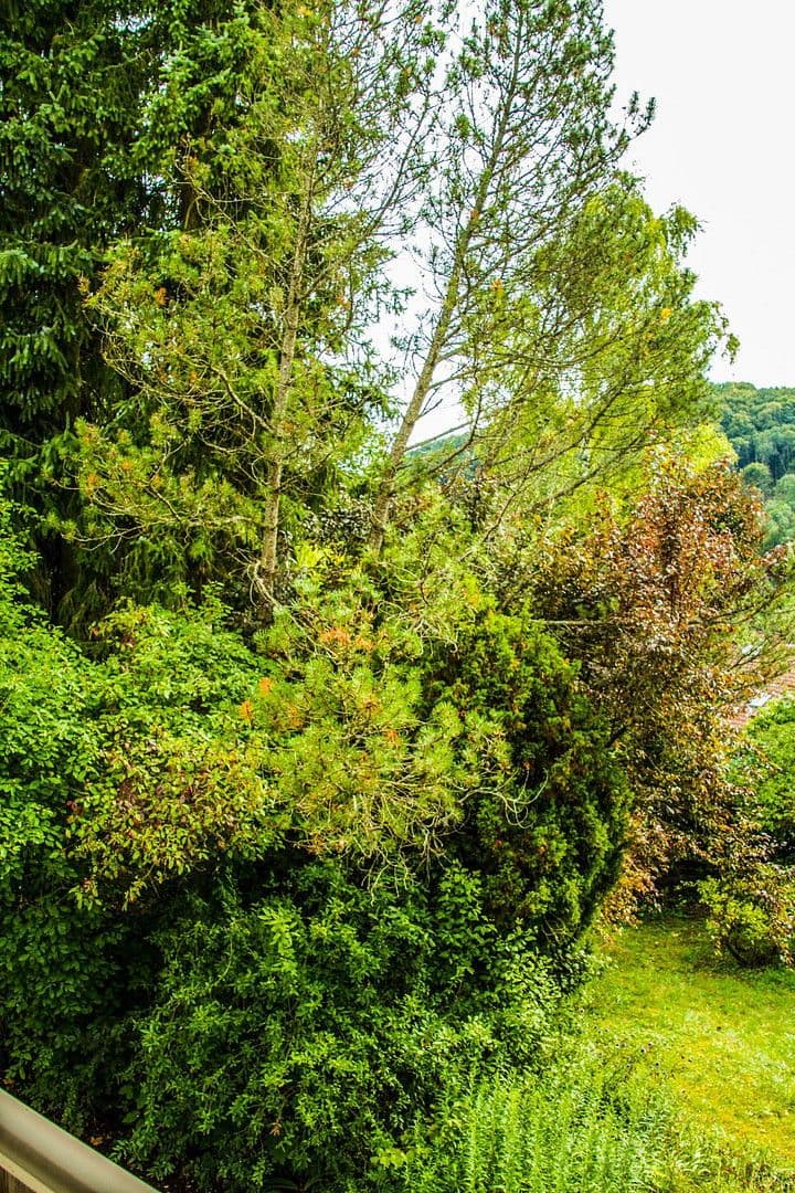 house for sale, 302 m², Nittendorf, Bavaria house for sale, 302 m², Nittendorf, Bavaria