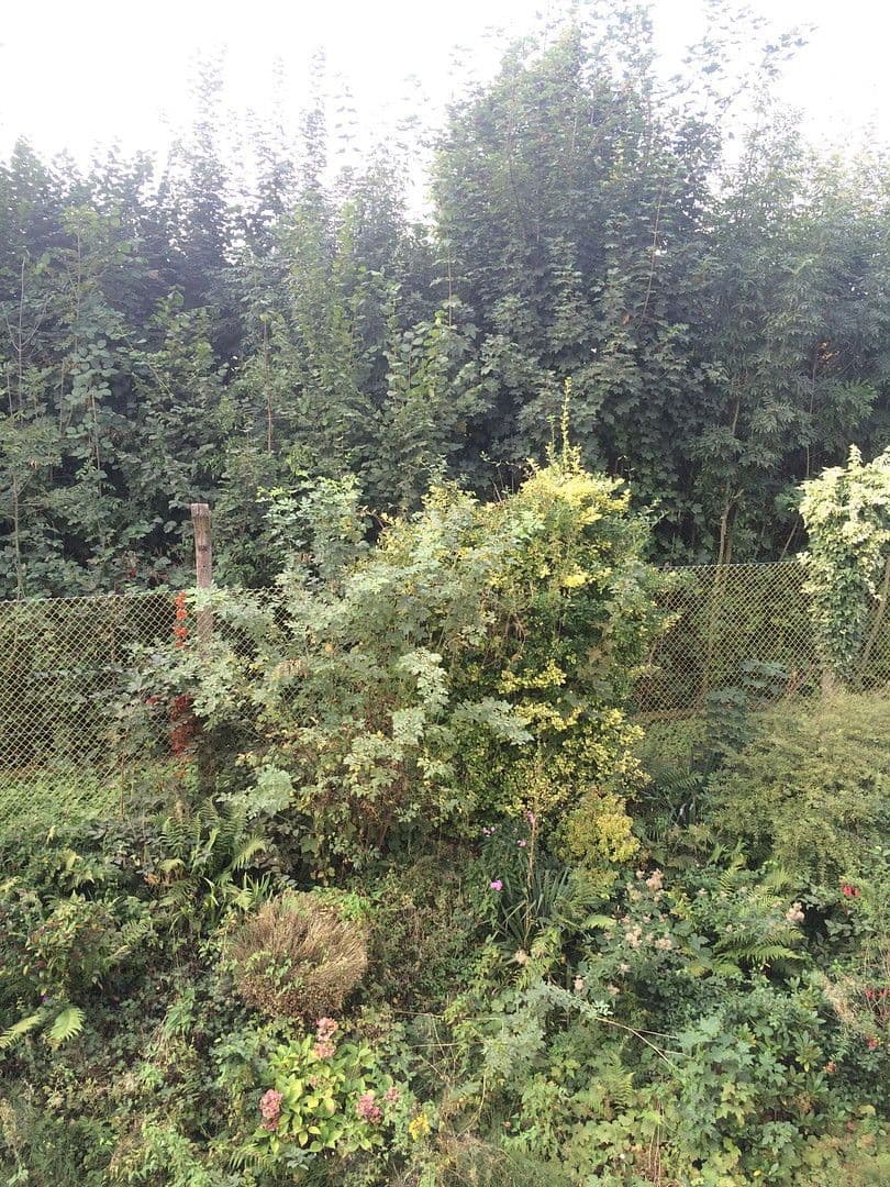 1 bedroom flat to rent, 45 m², Wuppertal, North Rhine-Westphalia 1 bedroom flat to rent, 45 m², Wuppertal, North Rhine-Westphalia