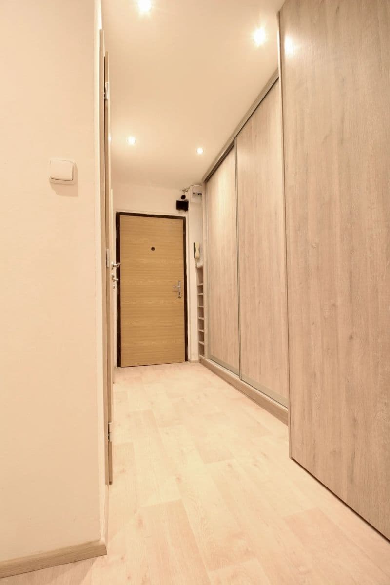 1 bedroom with open-plan kitchen flat to rent, 45 m², Marie Pujmanové, Říčany, Středočeský Region 1 bedroom with open-plan kitchen flat to rent, 45 m², Marie Pujmanové, Říčany, Středočeský Region