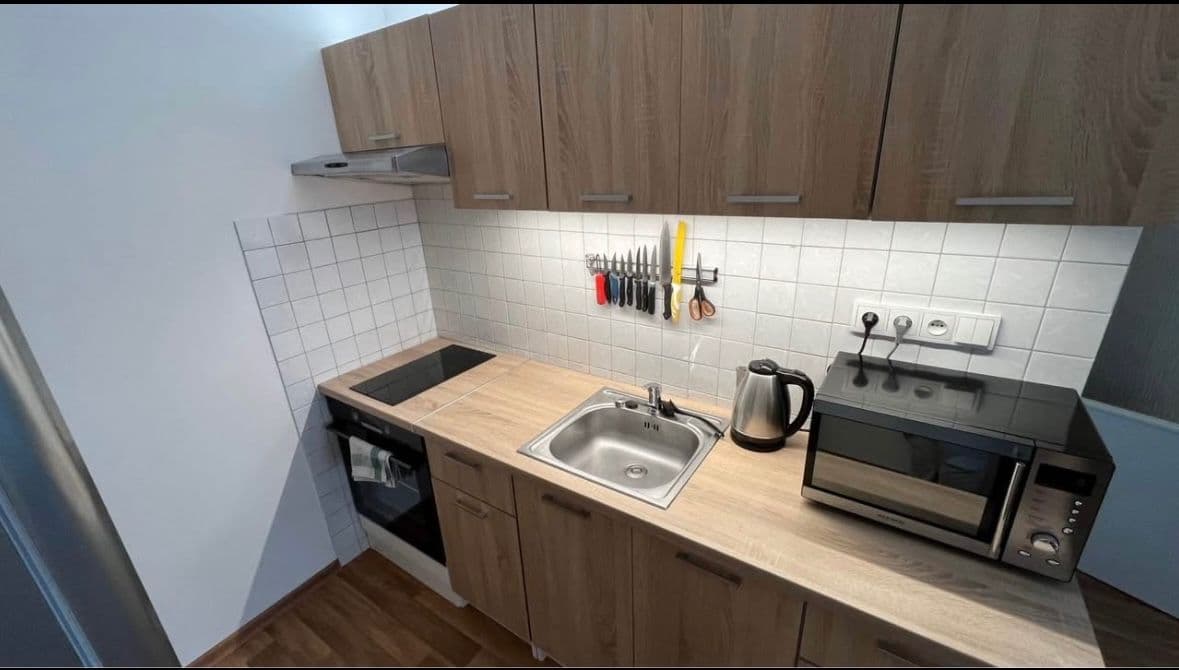 1 bedroom with open-plan kitchen flat to rent, 39 m², Pujmanové, Prague, Prague 1 bedroom with open-plan kitchen flat to rent, 39 m², Pujmanové, Prague, Prague