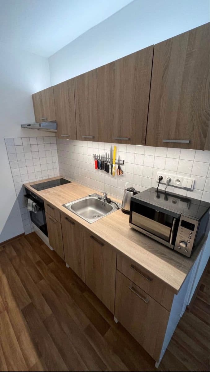 1 bedroom with open-plan kitchen flat to rent, 39 m², Pujmanové, Prague, Prague 1 bedroom with open-plan kitchen flat to rent, 39 m², Pujmanové, Prague, Prague