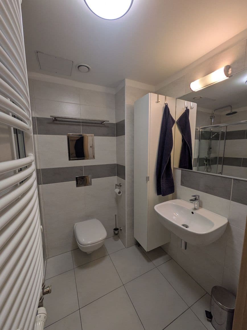 1 bedroom with open-plan kitchen flat to rent, 61 m², Bartoškova, Prague, Prague 1 bedroom with open-plan kitchen flat to rent, 61 m², Bartoškova, Prague, Prague
