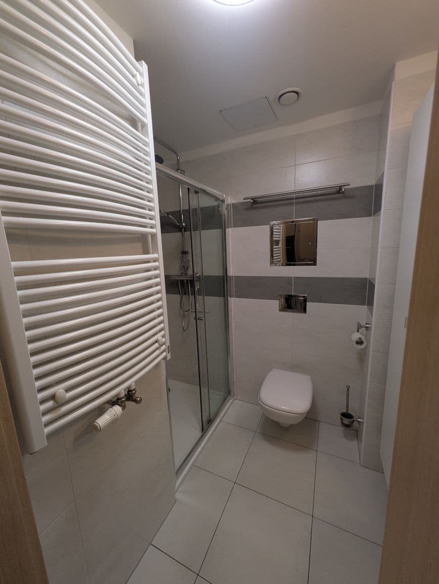 1 bedroom with open-plan kitchen flat to rent, 61 m², Bartoškova, Prague, Prague 1 bedroom with open-plan kitchen flat to rent, 61 m², Bartoškova, Prague, Prague