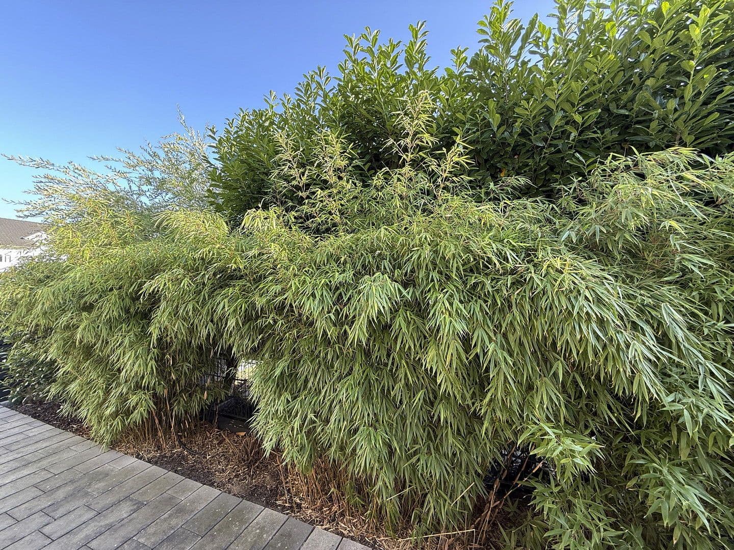 house for sale, 220 m², Kelsterbach, Hesse house for sale, 220 m², Kelsterbach, Hesse