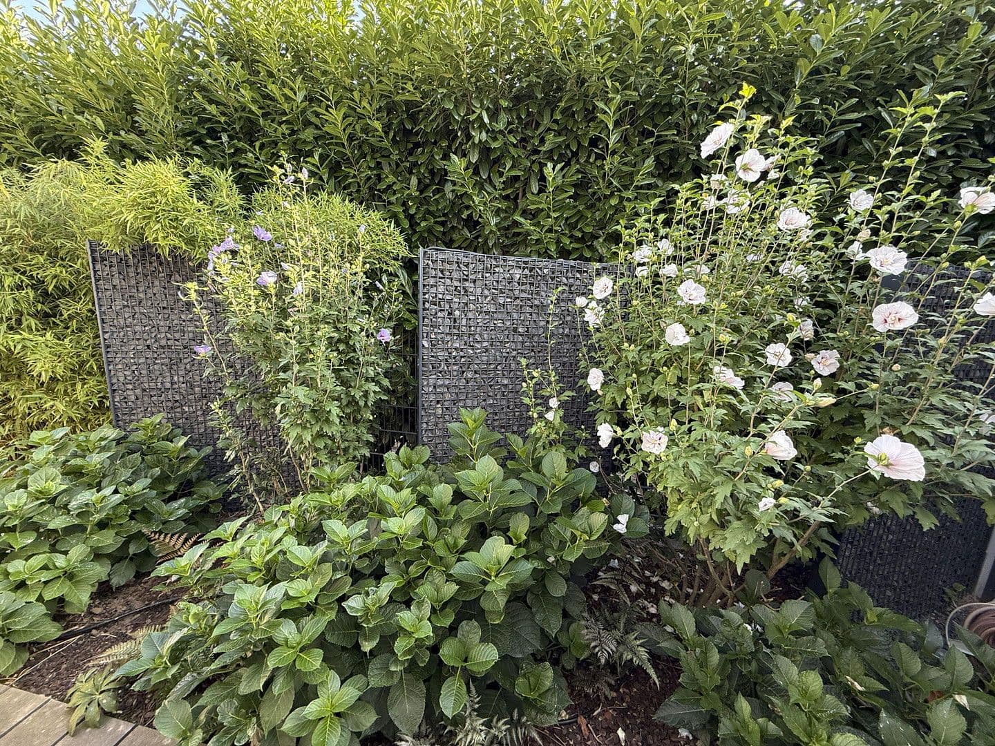 house for sale, 220 m², Kelsterbach, Hesse house for sale, 220 m², Kelsterbach, Hesse