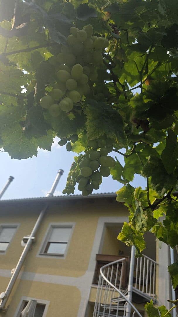 house for sale, 202 m², Pregarten, Upper Austria house for sale, 202 m², Pregarten, Upper Austria