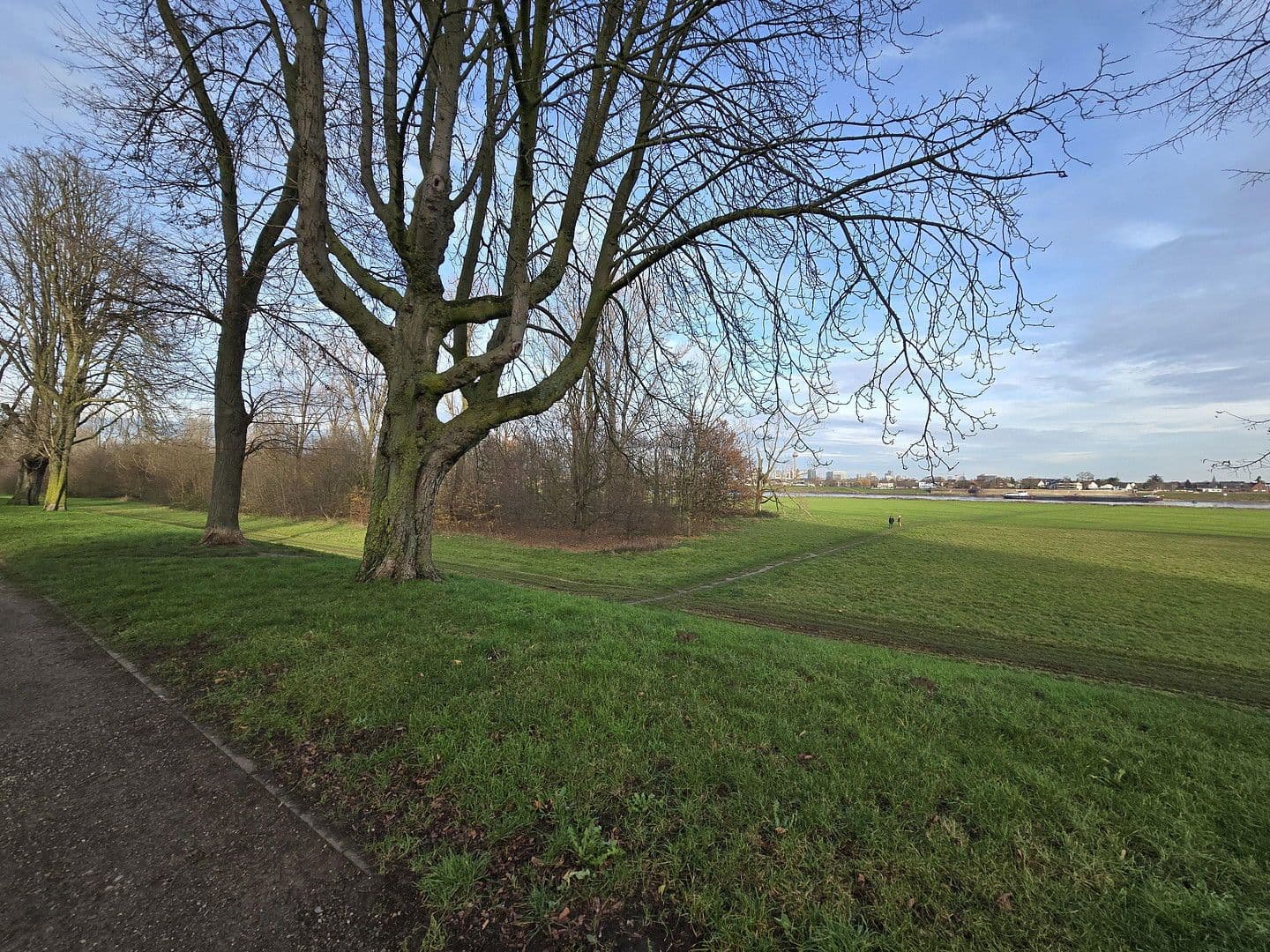 Studio flat to rent, 47 m², Görlitzer Straße 7, Neuss, North Rhine-Westphalia Studio flat to rent, 47 m², Görlitzer Straße 7, Neuss, North Rhine-Westphalia