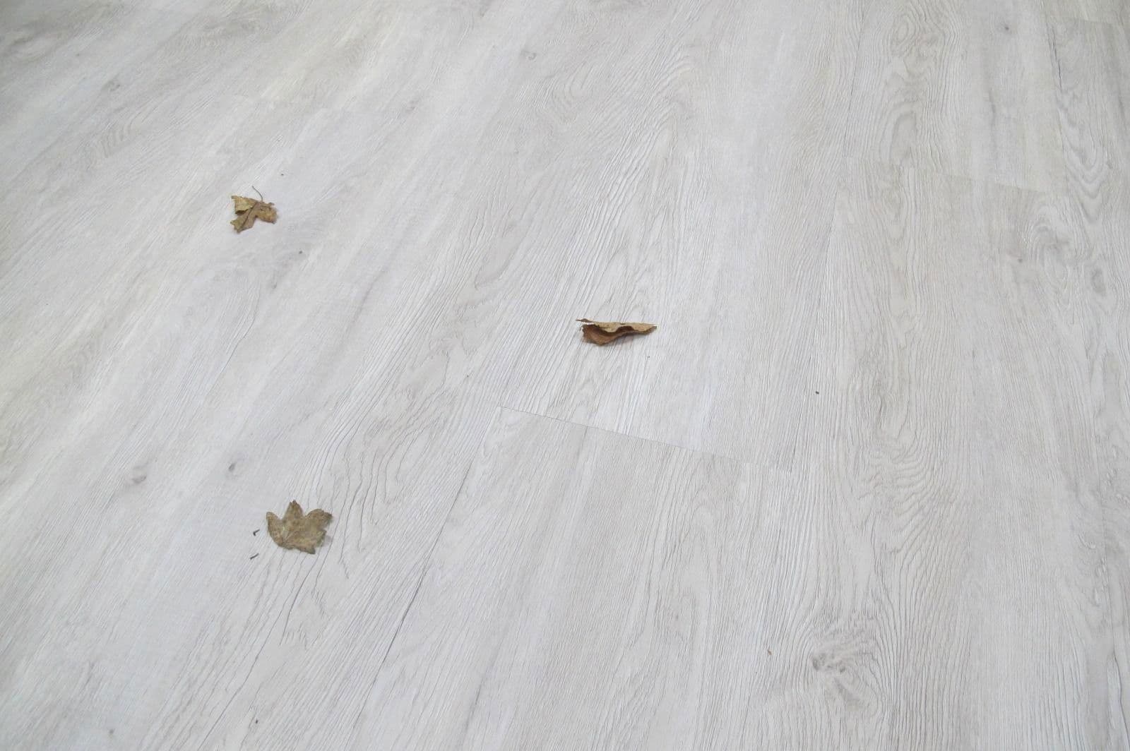 3 bedroom flat to rent, 70 m², Kiel, Schleswig-Holstein 3 bedroom flat to rent, 70 m², Kiel, Schleswig-Holstein