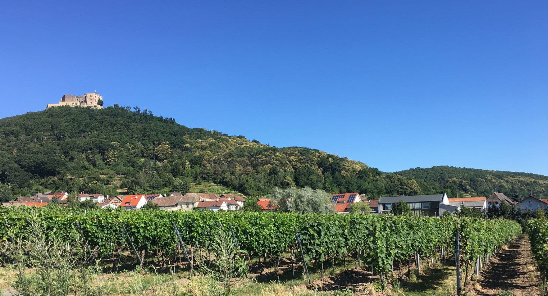 house for sale, 297 m², Neustadt an der Weinstraße, Ortsteil Hambach, Rhineland-Palatinate house for sale, 297 m², Neustadt an der Weinstraße, Ortsteil Hambach, Rhineland-Palatinate